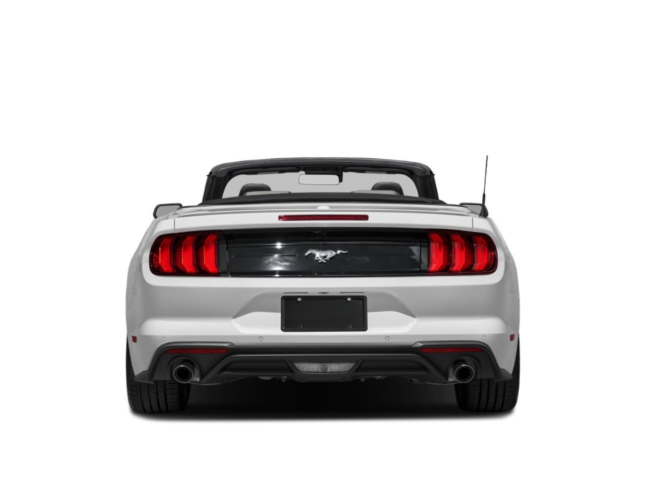 2022 Ford Mustang Vehicle Photo in BEAUFORT, SC 29906-4218