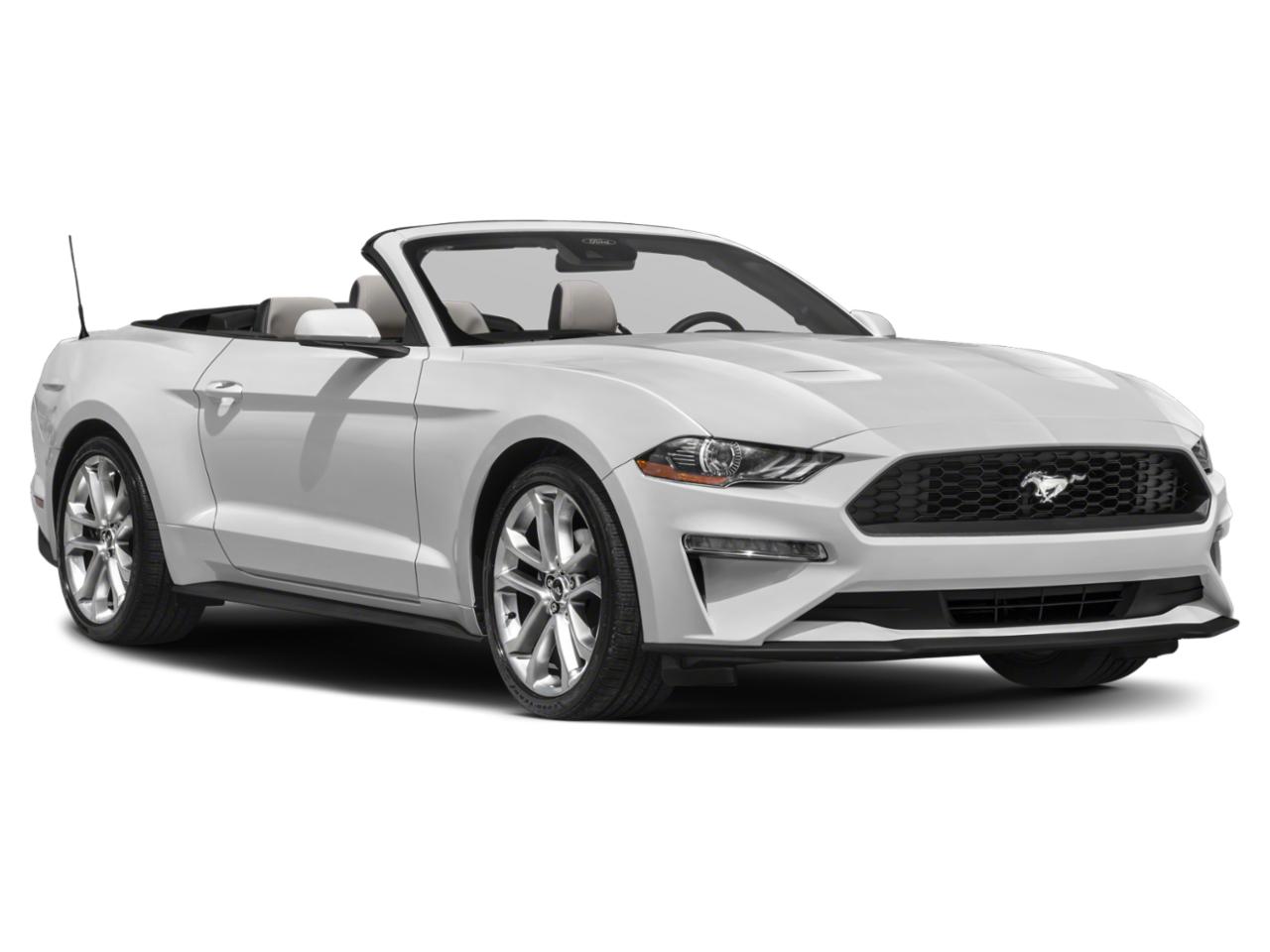 2022 Ford Mustang Vehicle Photo in BEAUFORT, SC 29906-4218