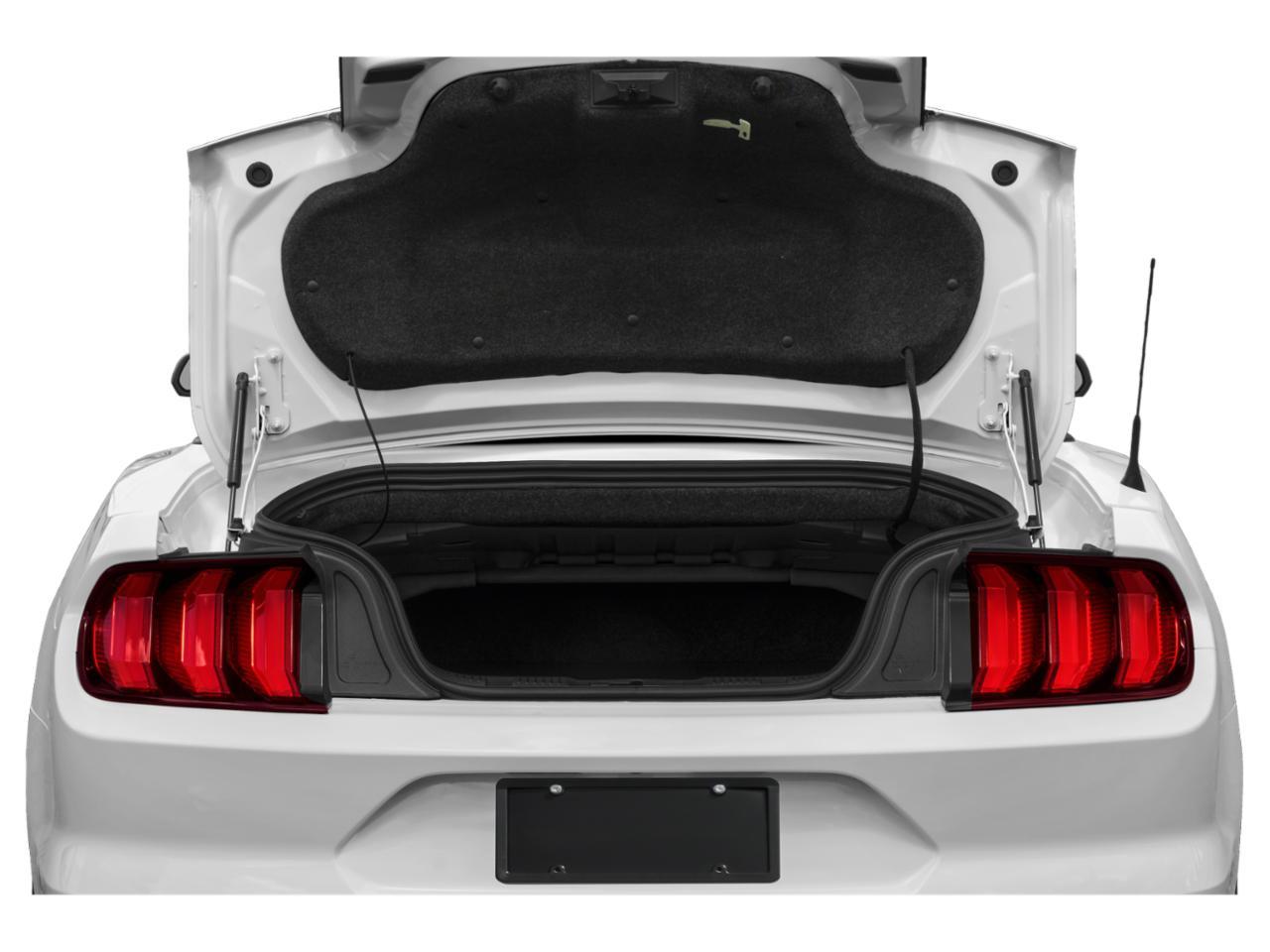 2022 Ford Mustang Vehicle Photo in BEAUFORT, SC 29906-4218