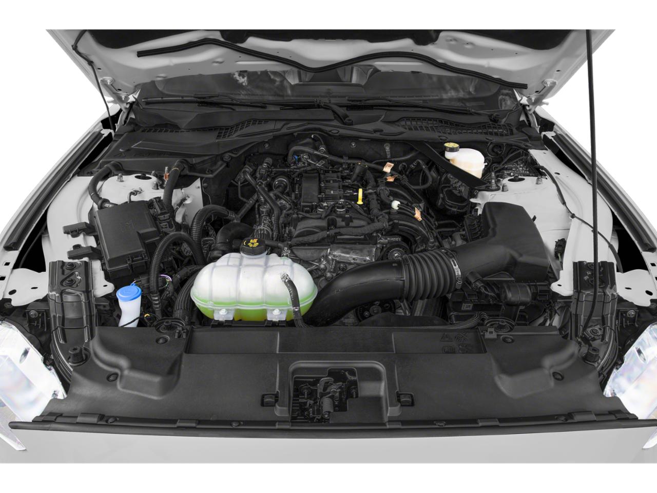 2022 Ford Mustang Vehicle Photo in BEAUFORT, SC 29906-4218