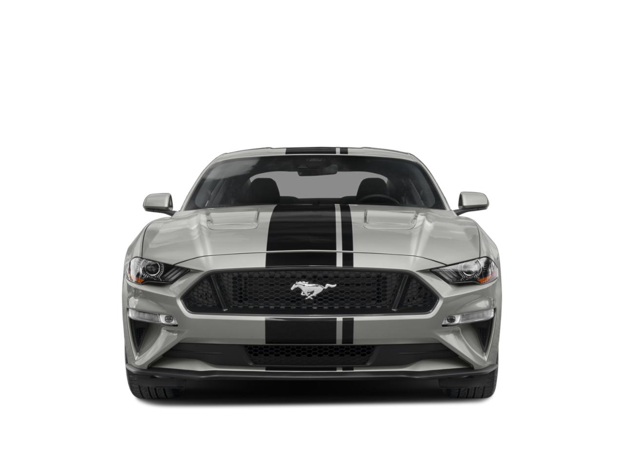2022 Ford Mustang Vehicle Photo in SELMA, TX 78154-1460