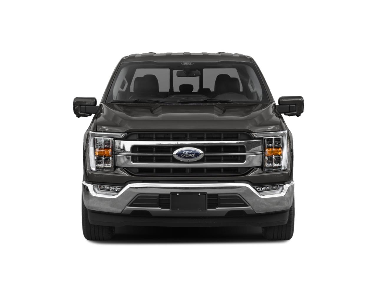2022 Ford F-150 Vehicle Photo in Flemington, NJ 08822