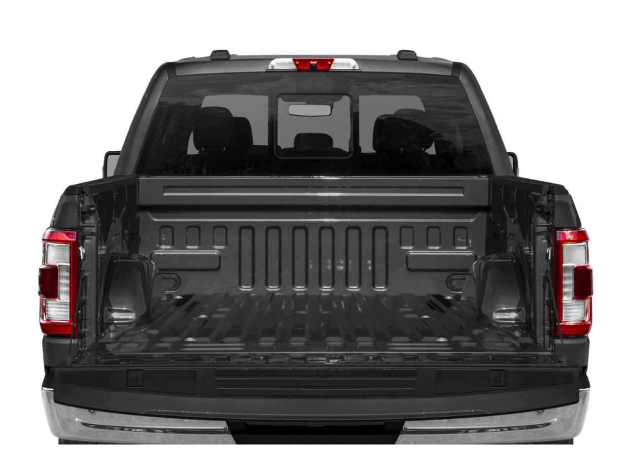 2022 Ford F-150 Vehicle Photo in Flemington, NJ 08822