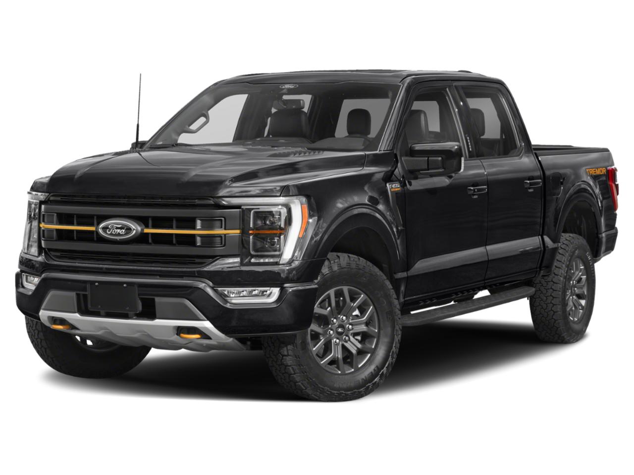 2022 Ford F-150 Vehicle Photo in Weatherford, TX 76087
