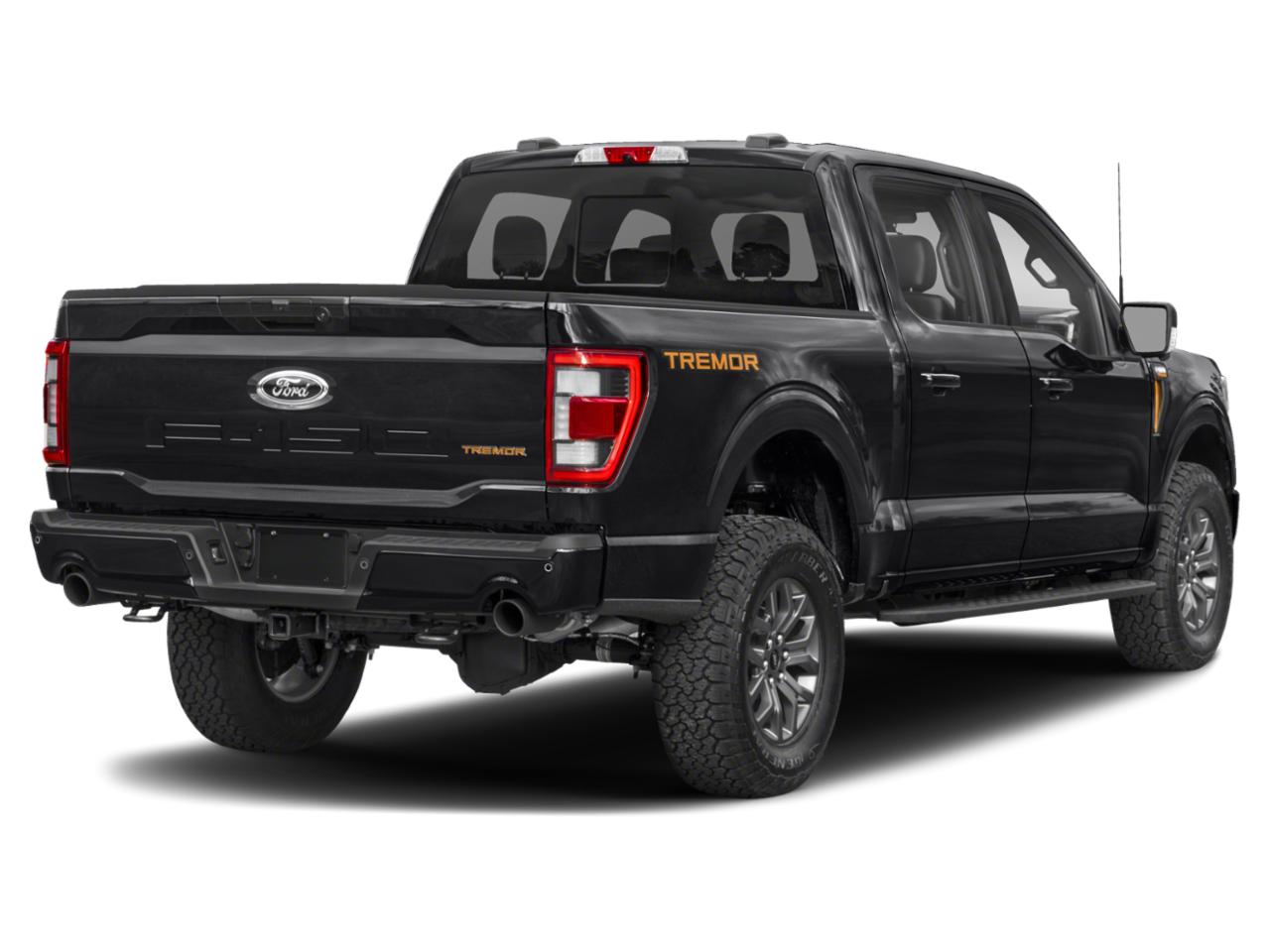 2022 Ford F-150 Vehicle Photo in Weatherford, TX 76087
