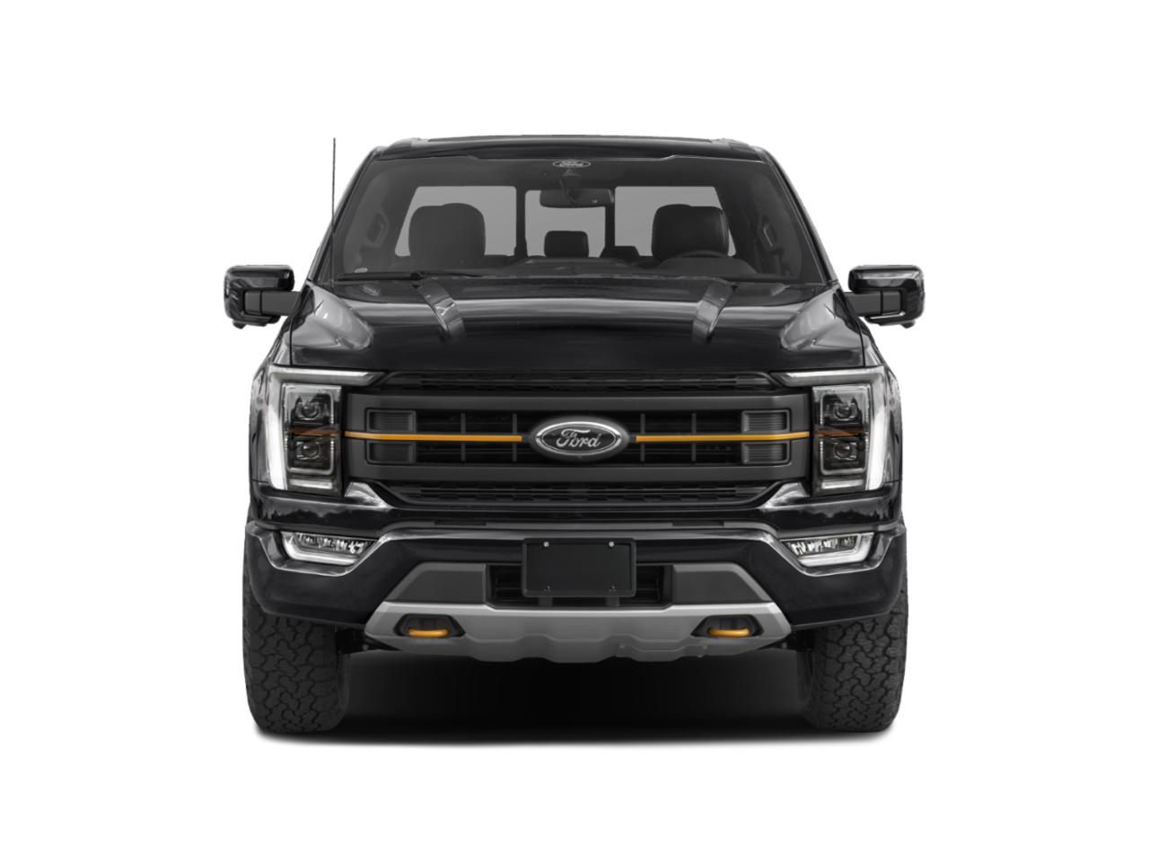 2022 Ford F-150 Vehicle Photo in Weatherford, TX 76087