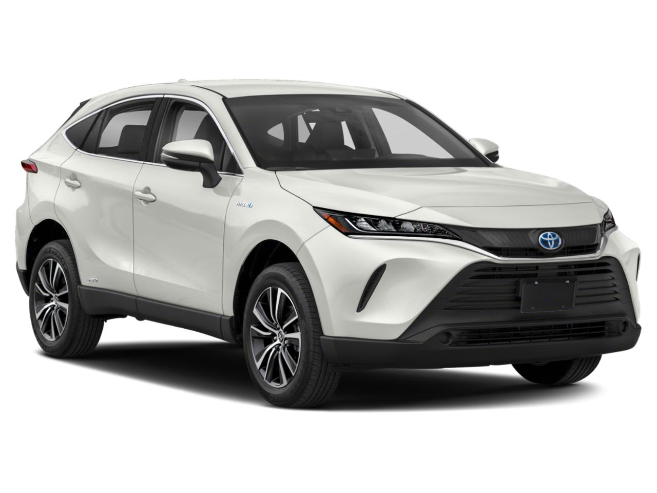 2022 Toyota Venza Vehicle Photo in Seguin, TX 78155