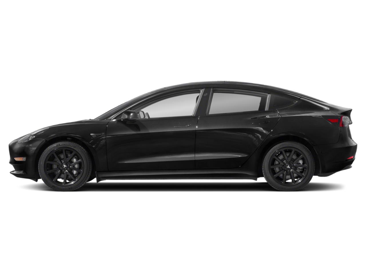 2022 Tesla Model 3 Vehicle Photo in San Antonio, TX 78209