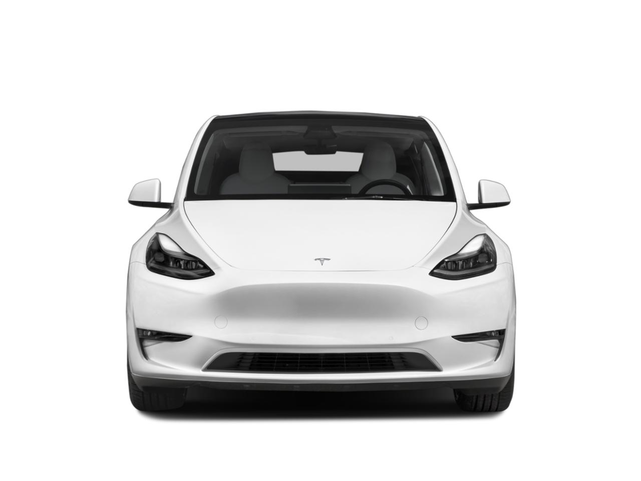 2022 Tesla Model Y Vehicle Photo in Harrisburg, PA 17111