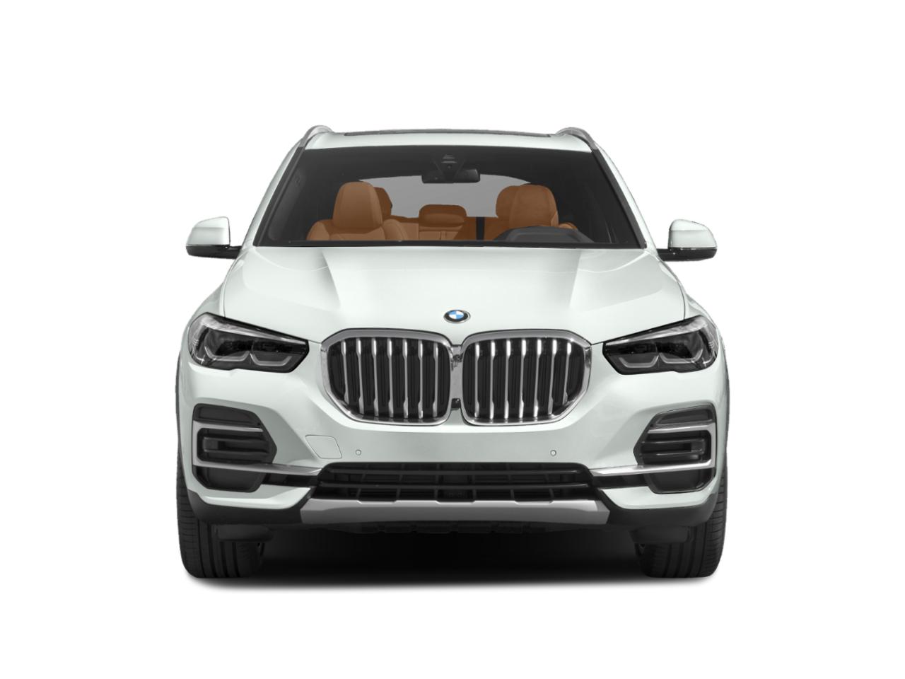 2023 BMW X5 xDrive40i Vehicle Photo in Lancaster, PA 17601