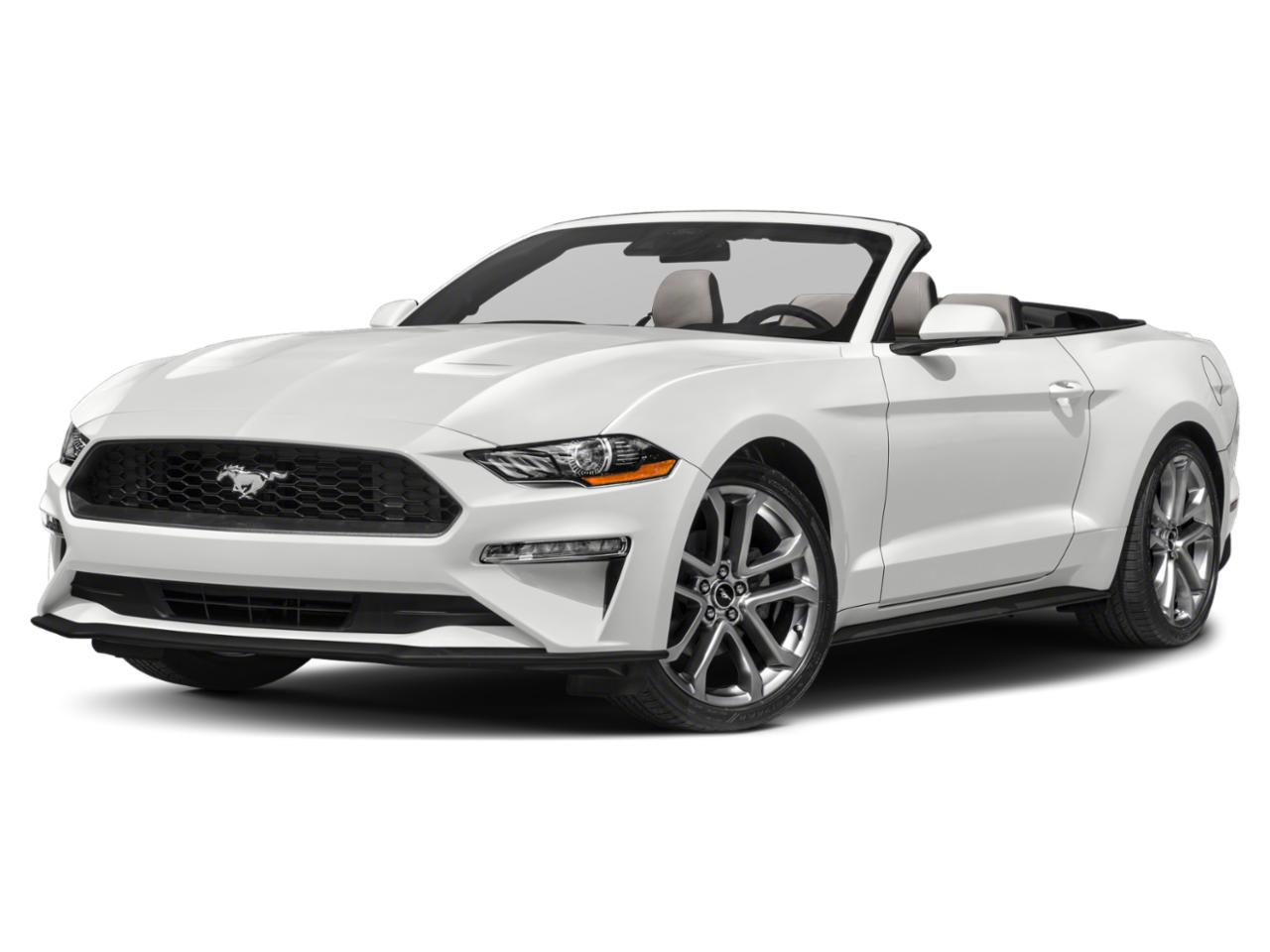 2023 Ford Mustang Vehicle Photo in Seguin, TX 78155