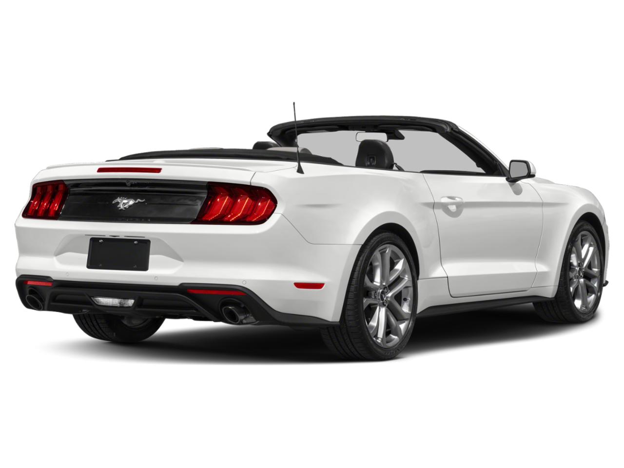 2023 Ford Mustang Vehicle Photo in Seguin, TX 78155