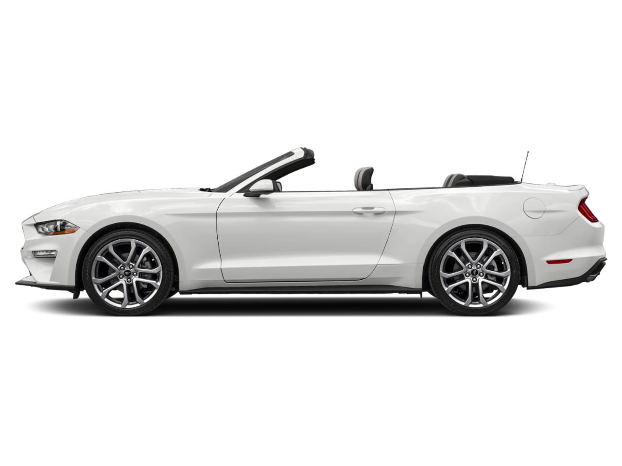 2023 Ford Mustang Vehicle Photo in Seguin, TX 78155