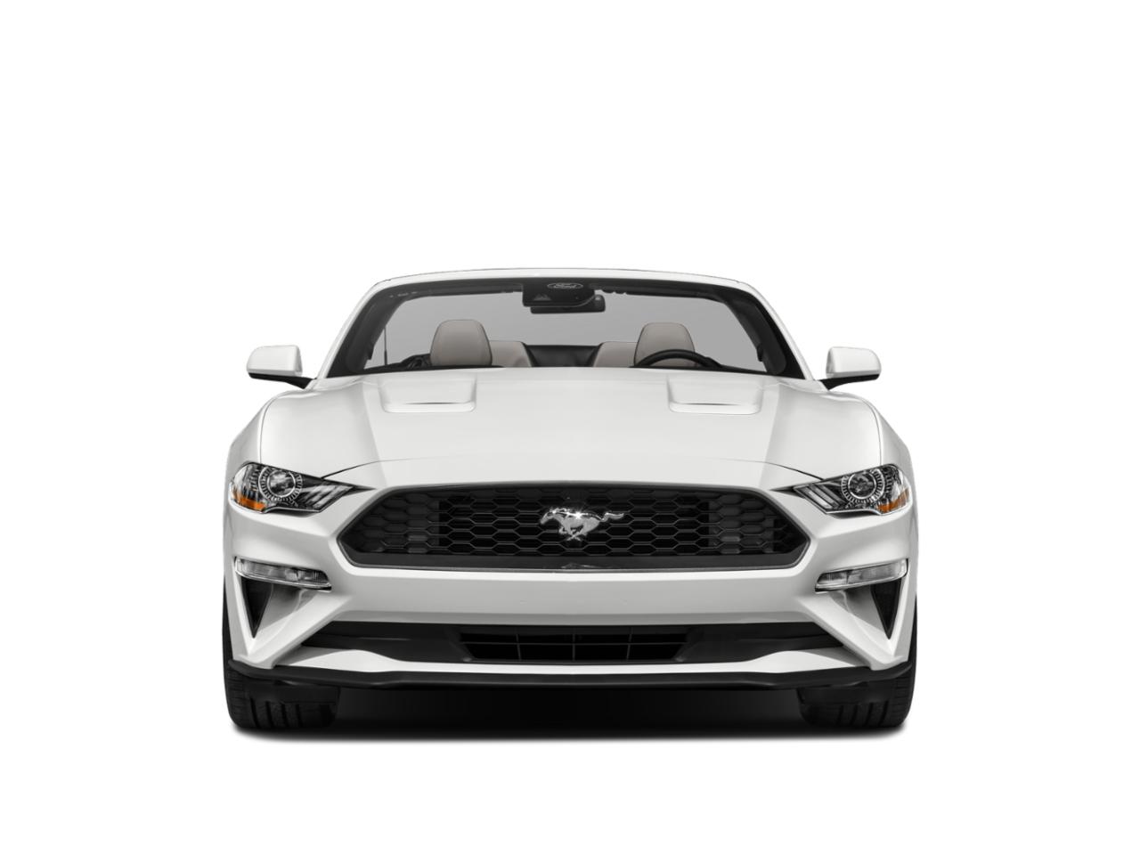 2023 Ford Mustang Vehicle Photo in Seguin, TX 78155