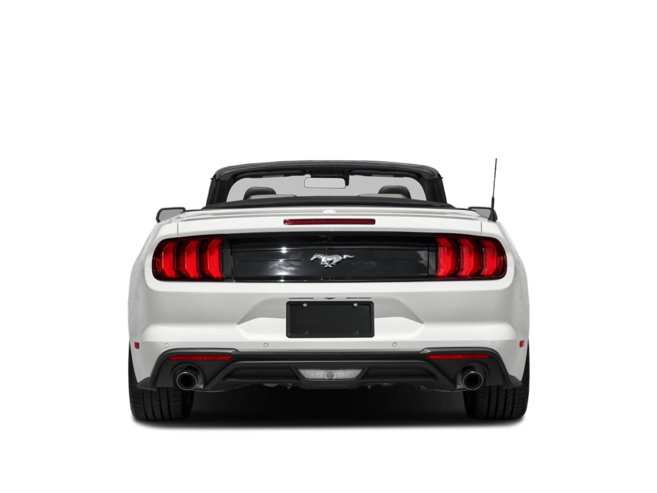 2023 Ford Mustang Vehicle Photo in Seguin, TX 78155