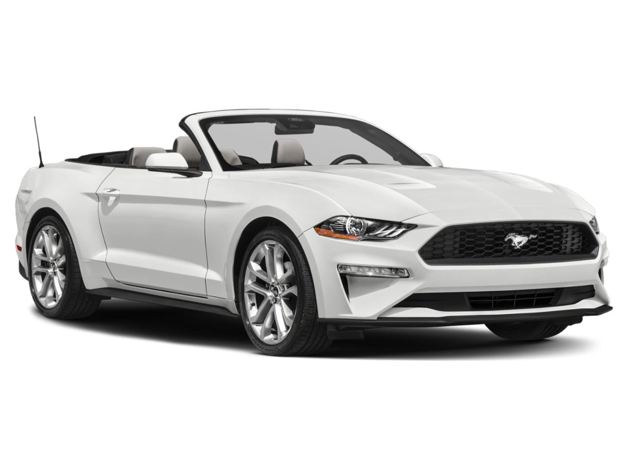 2023 Ford Mustang Vehicle Photo in Seguin, TX 78155