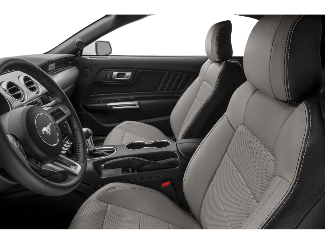 2023 Ford Mustang Vehicle Photo in Seguin, TX 78155