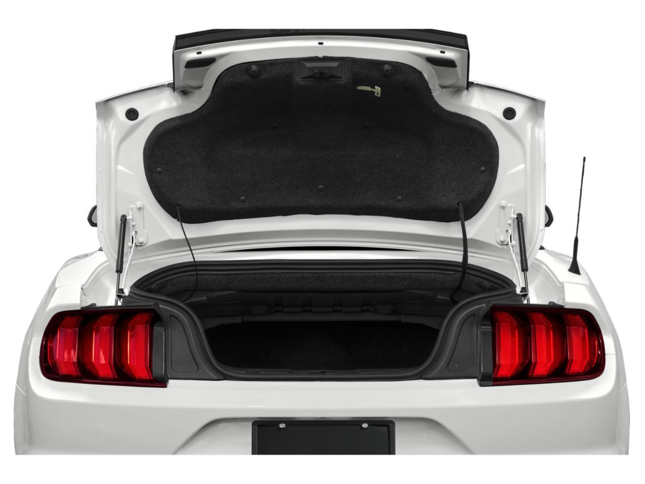 2023 Ford Mustang Vehicle Photo in Seguin, TX 78155