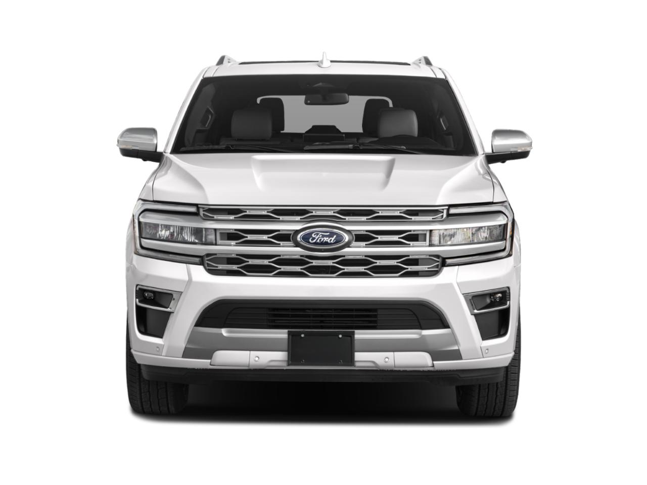 2023 Ford Expedition Vehicle Photo in Decatur, TX 76234