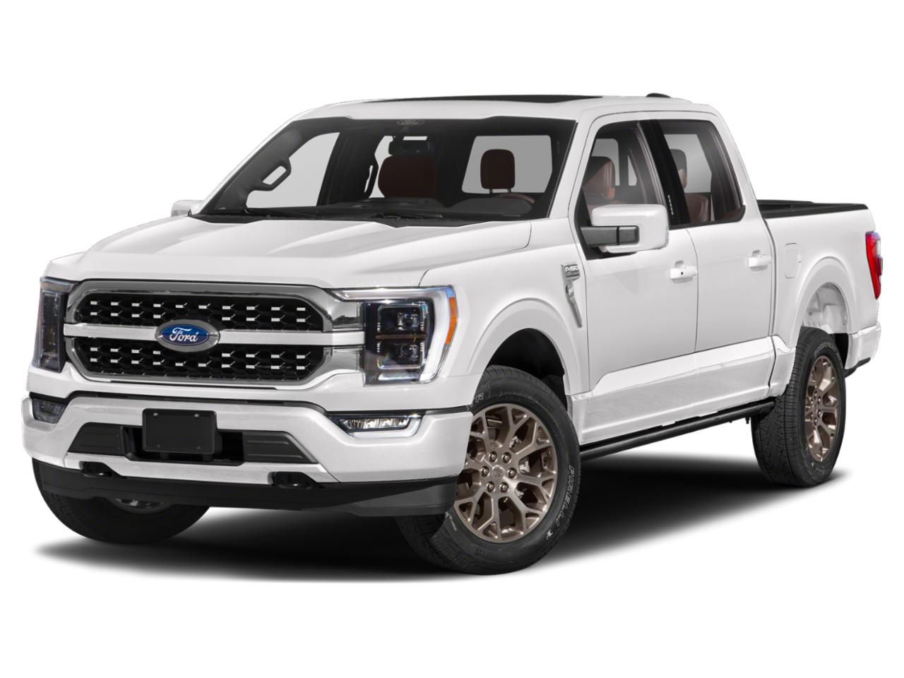 2023 Ford F-150 Vehicle Photo in SELMA, TX 78154-1459