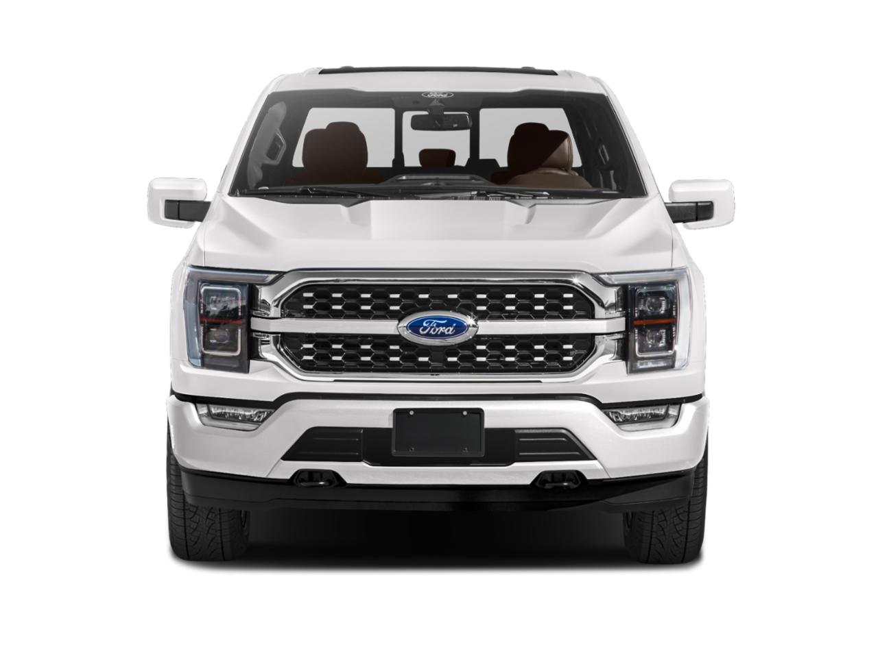 2023 Ford F-150 Vehicle Photo in SELMA, TX 78154-1459