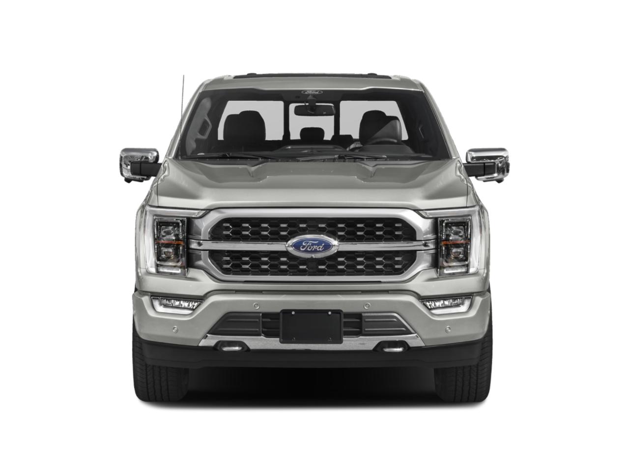 2023 Ford F-150 Vehicle Photo in Weatherford, TX 76087