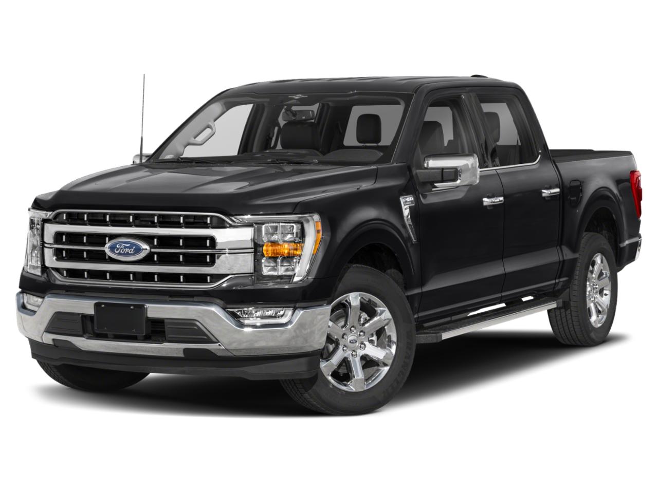 2023 Ford F-150 Vehicle Photo in San Antonio, TX 78238