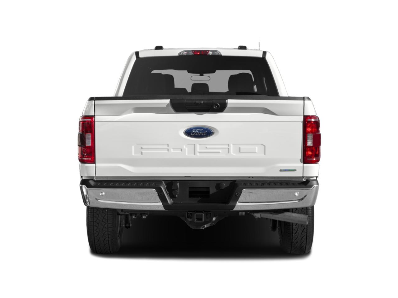 2023 Ford F-150 Vehicle Photo in Statesboro, GA 30458