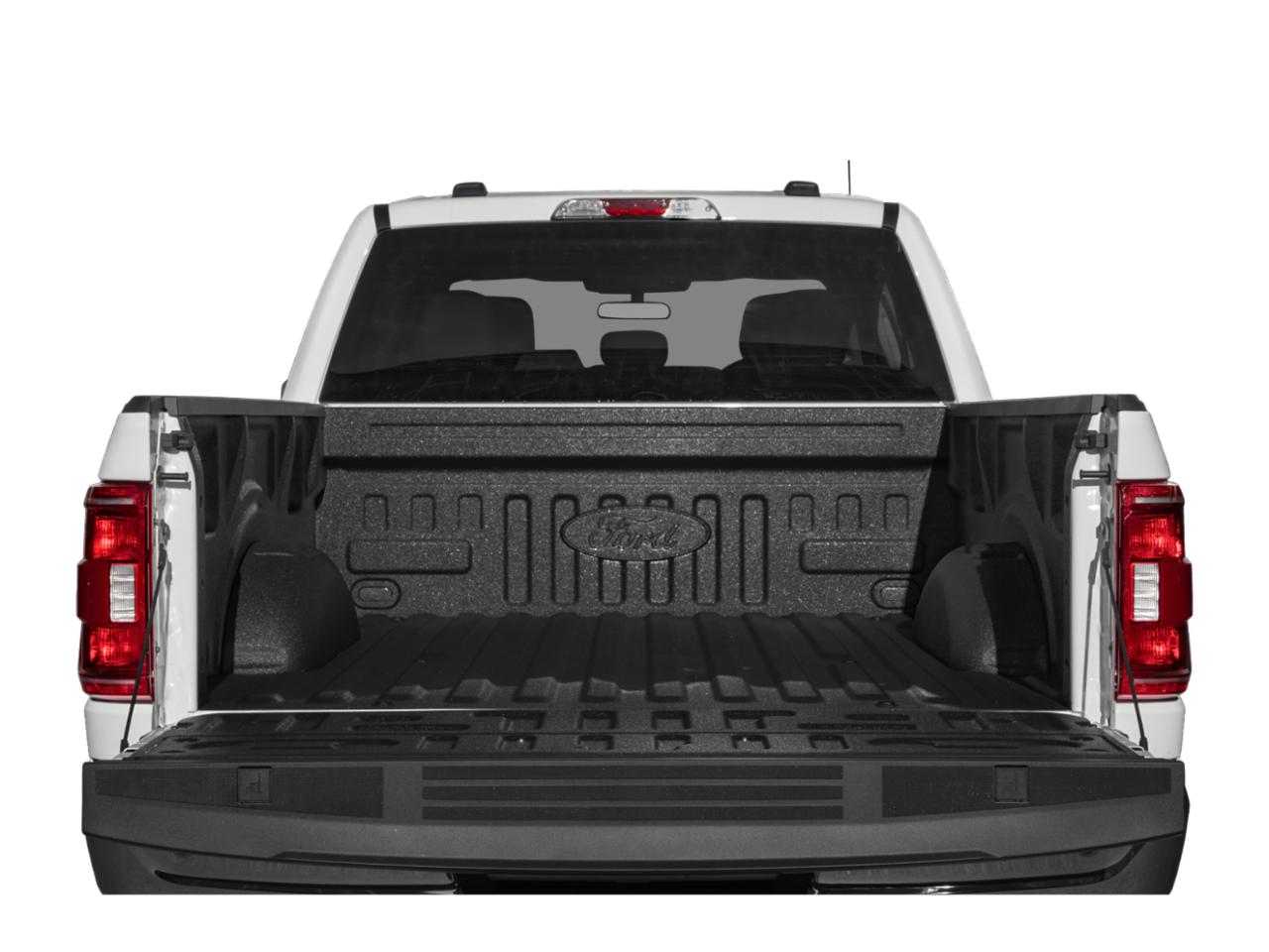 2023 Ford F-150 Vehicle Photo in Statesboro, GA 30458