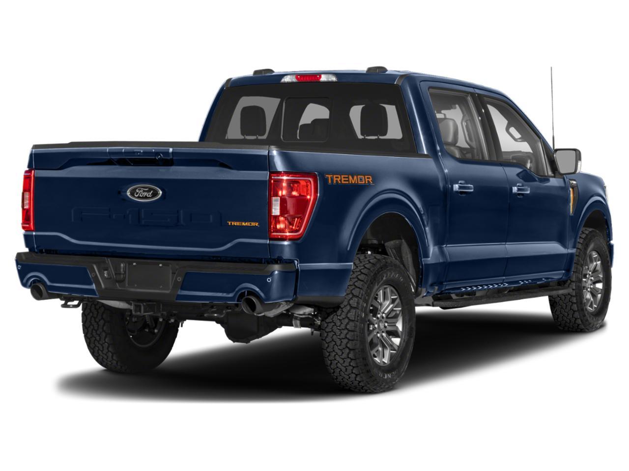 2023 Ford F-150 Vehicle Photo in SELMA, TX 78154-1459