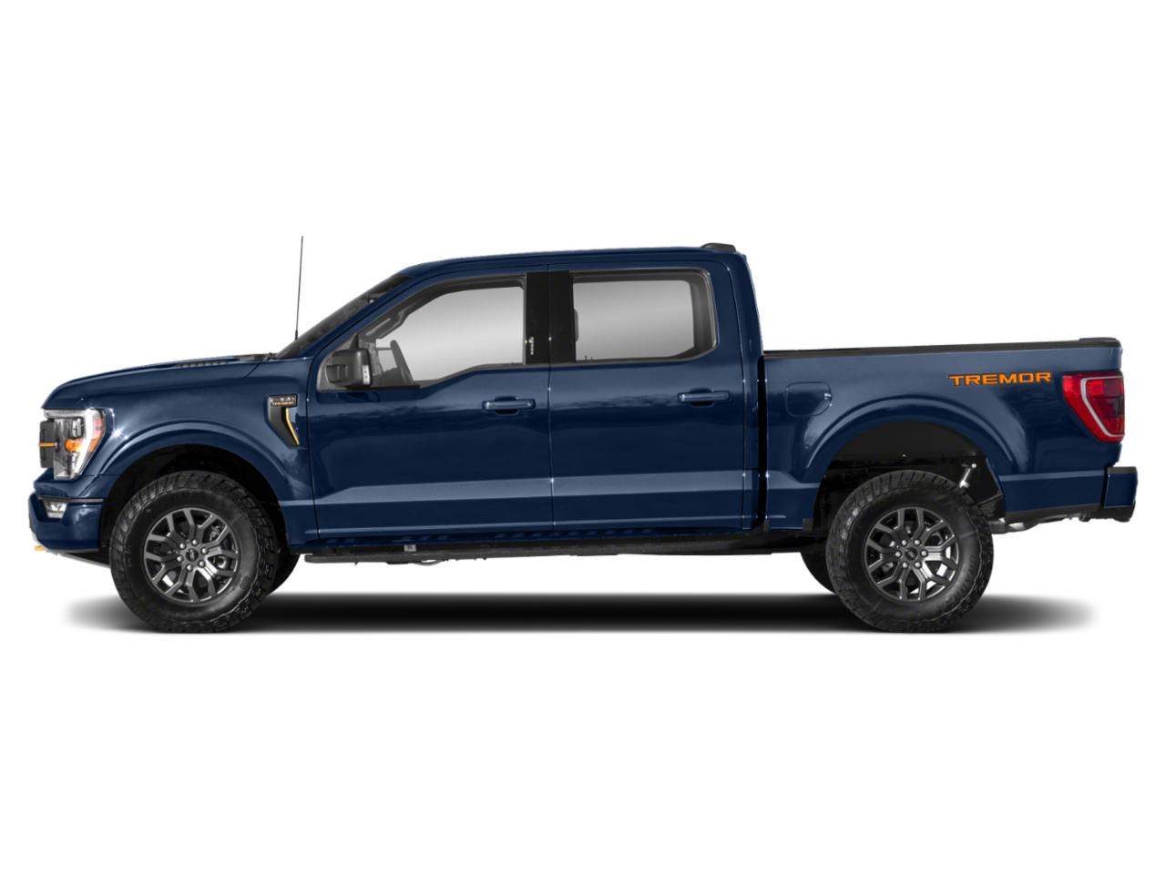 2023 Ford F-150 Vehicle Photo in SELMA, TX 78154-1459
