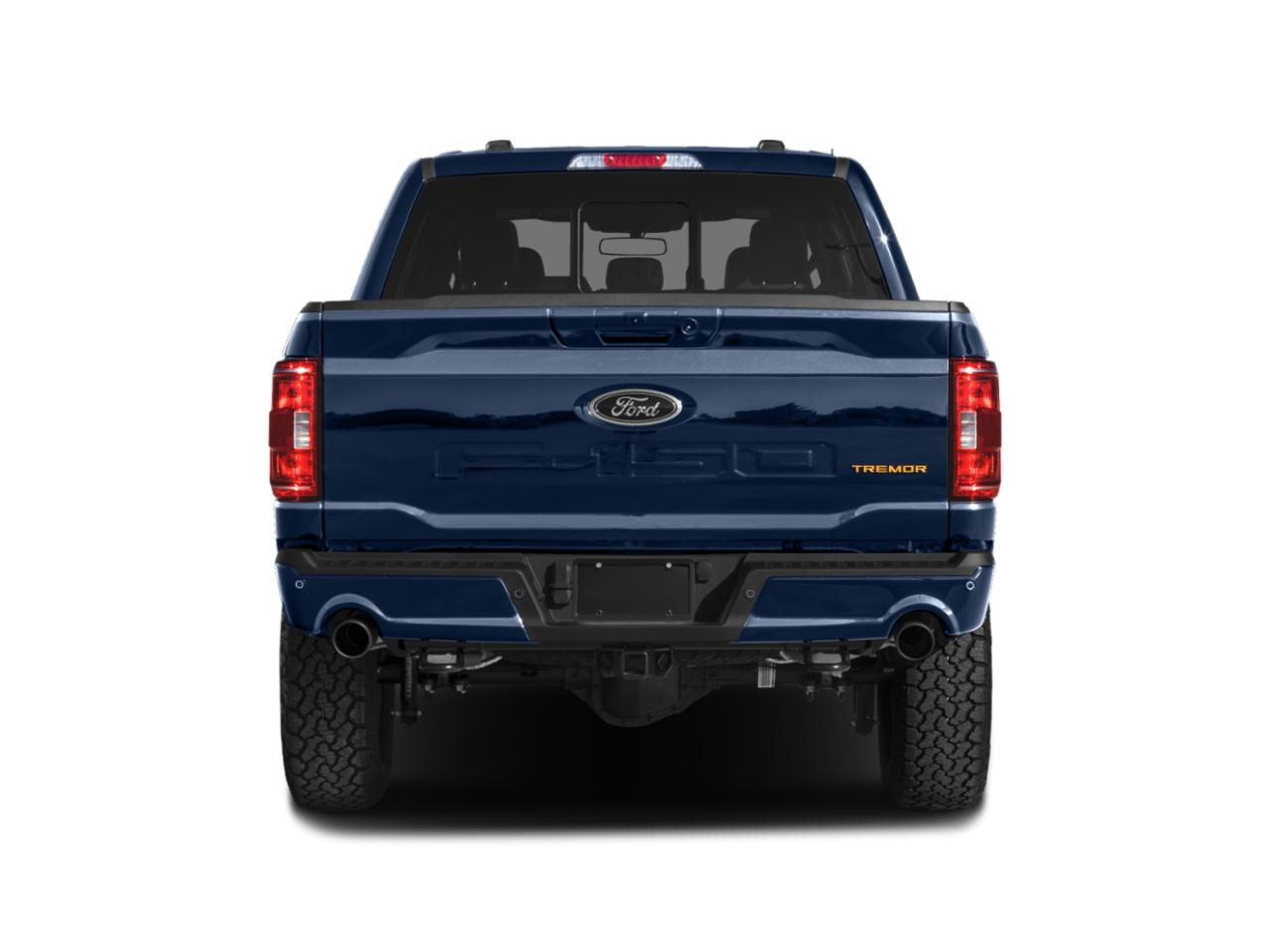 2023 Ford F-150 Vehicle Photo in SELMA, TX 78154-1459