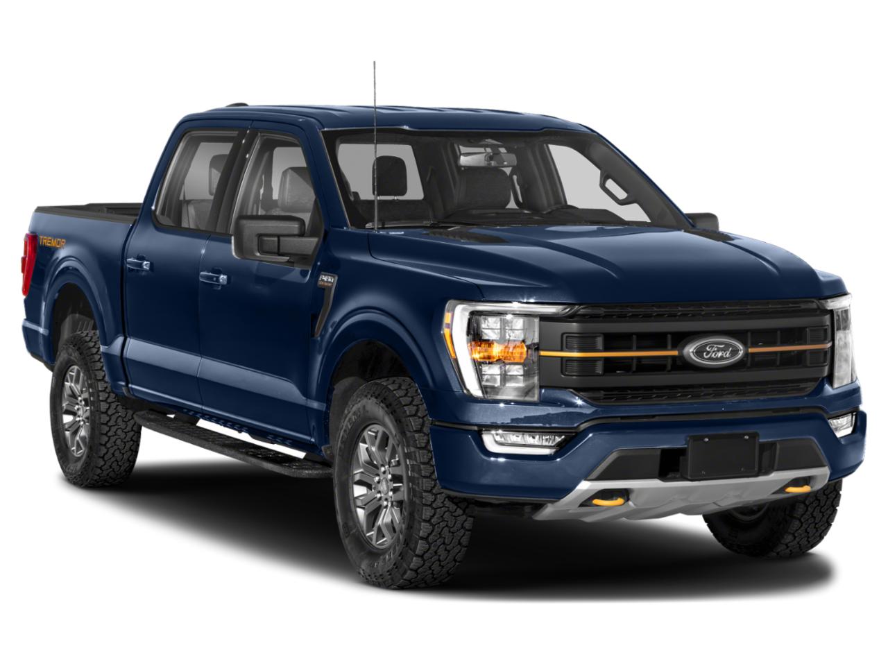 2023 Ford F-150 Vehicle Photo in SELMA, TX 78154-1459