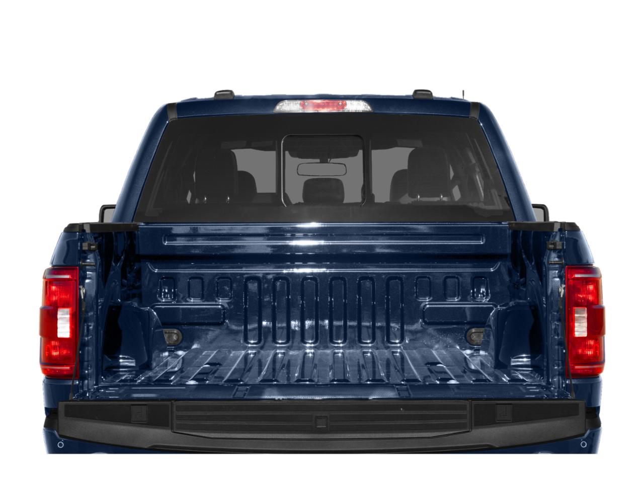 2023 Ford F-150 Vehicle Photo in SELMA, TX 78154-1459