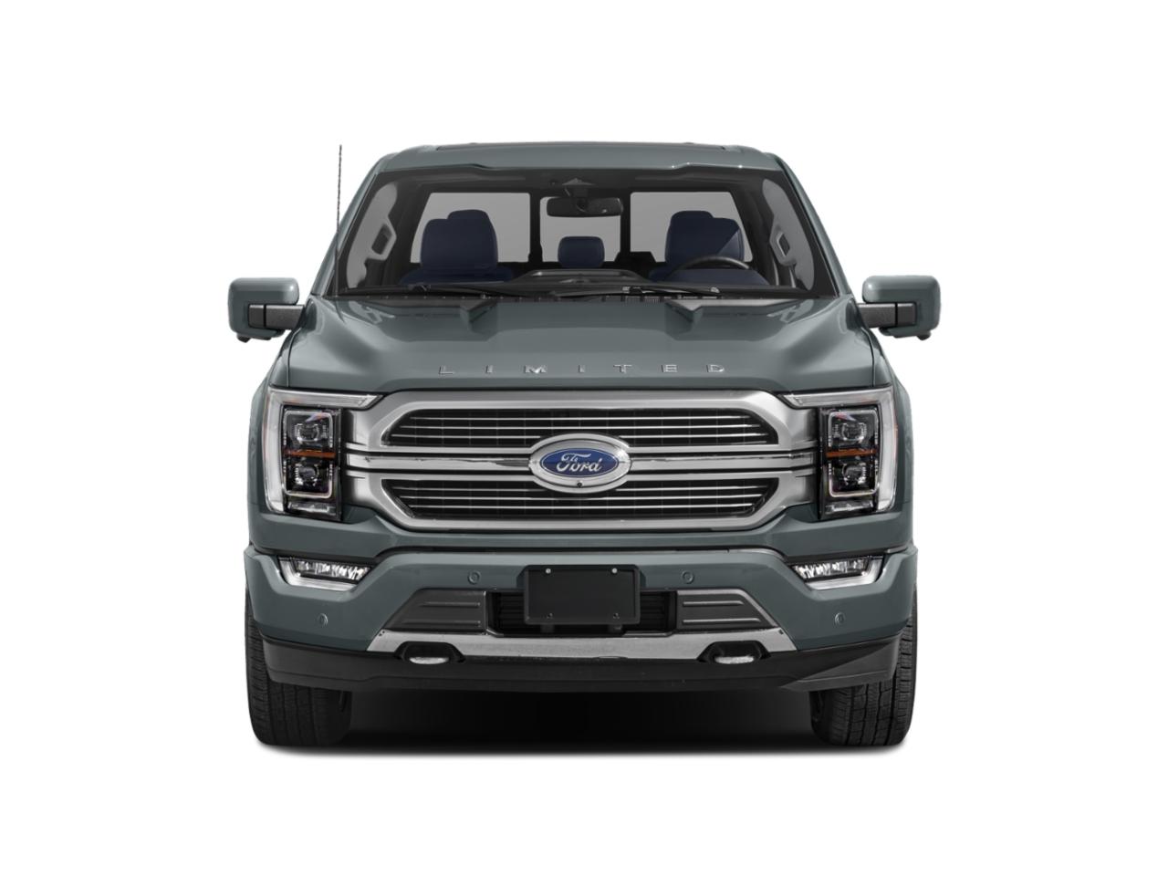 2023 Ford F-150 Vehicle Photo in Weatherford, TX 76087