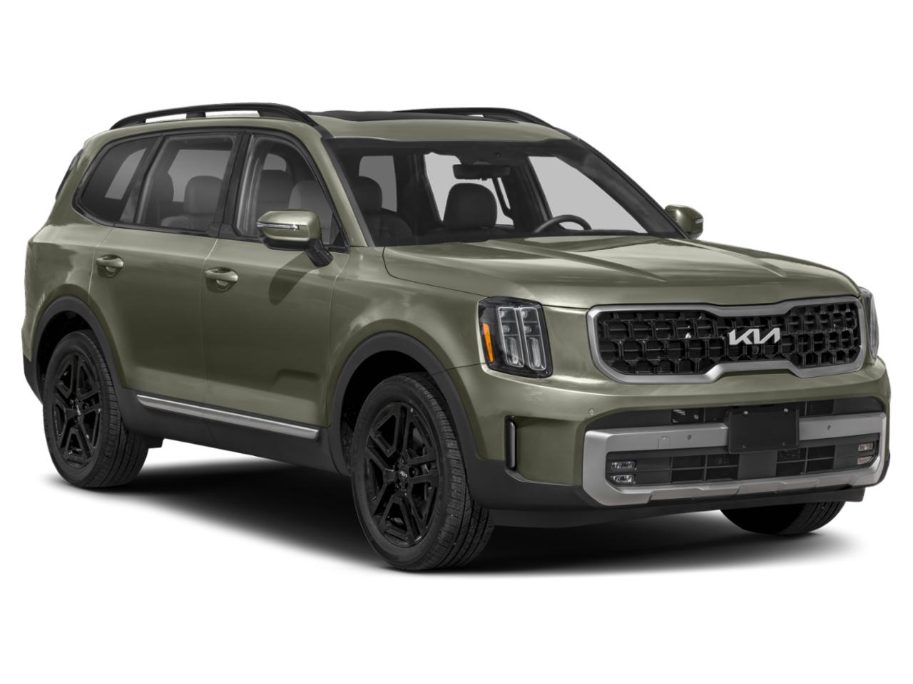 2023 Kia Telluride Vehicle Photo in KANSAS CITY, MO 64114-4502