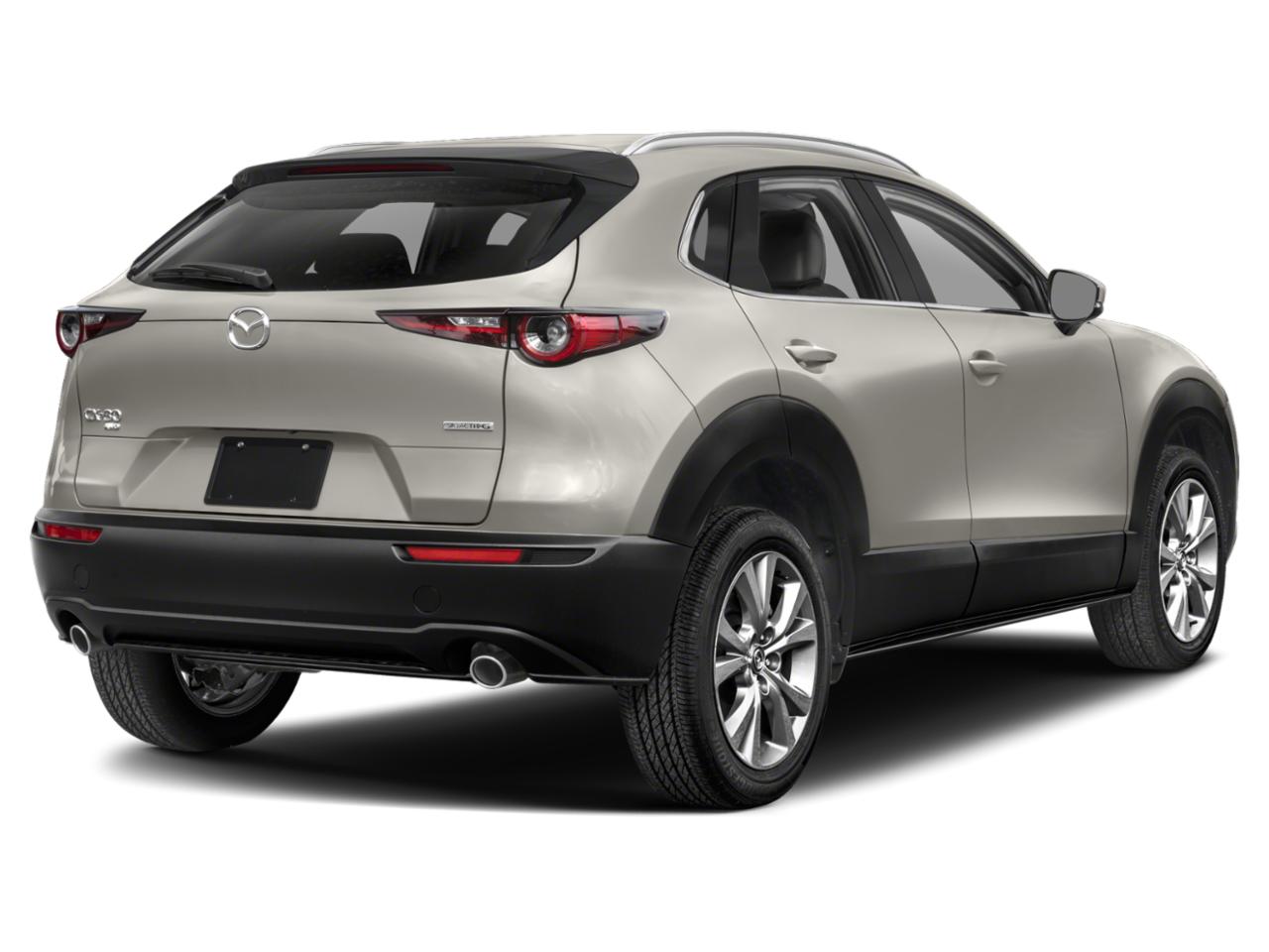 2023 Mazda CX-30 Vehicle Photo in Akron, OH 44312