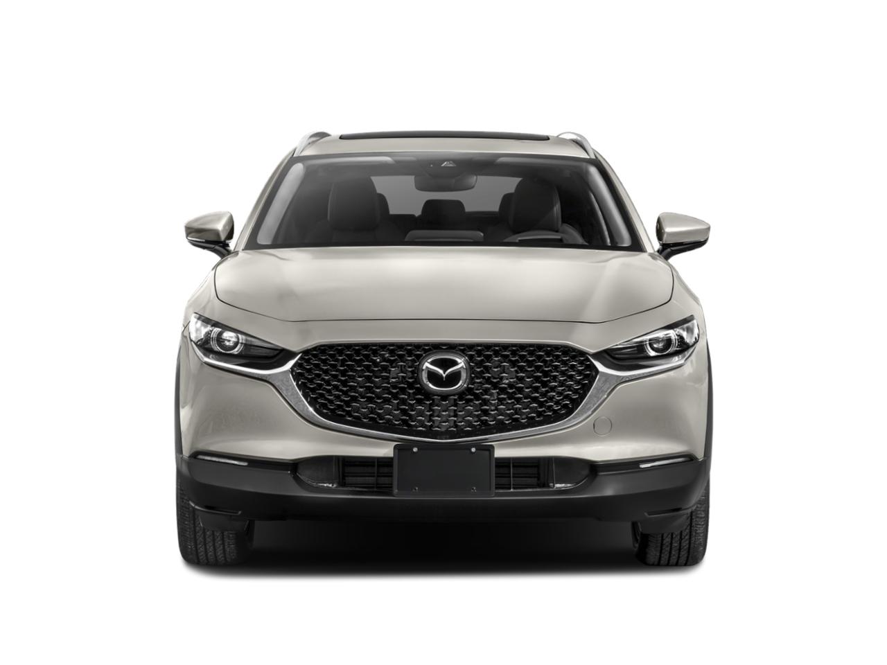2023 Mazda CX-30 Vehicle Photo in Akron, OH 44312
