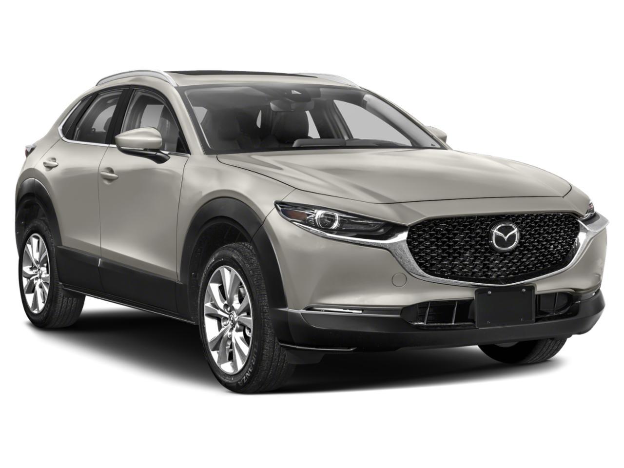 2023 Mazda CX-30 Vehicle Photo in Akron, OH 44312