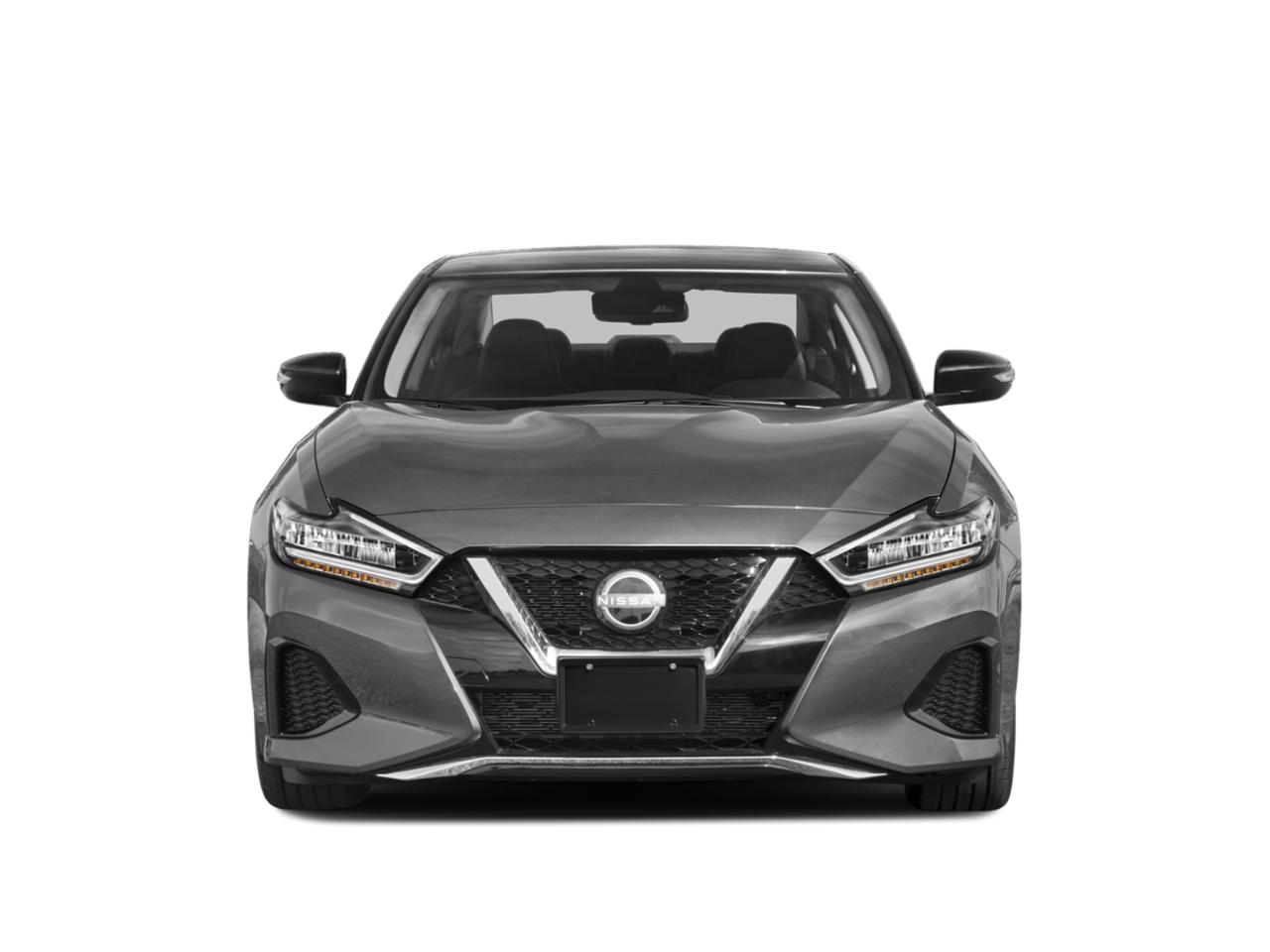 2023 Nissan Maxima Vehicle Photo in San Antonio, TX 78209