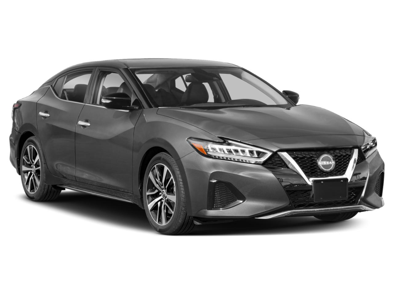2023 Nissan Maxima Vehicle Photo in San Antonio, TX 78209