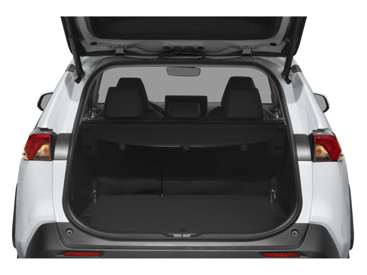 2023 Toyota RAV4 Vehicle Photo in San Antonio, TX 78209