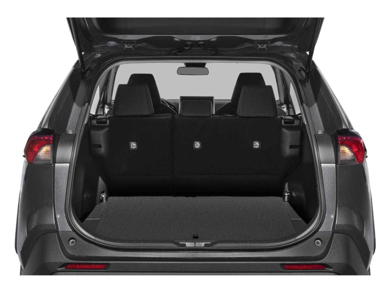 2023 Toyota RAV4 Vehicle Photo in San Antonio, TX 78209