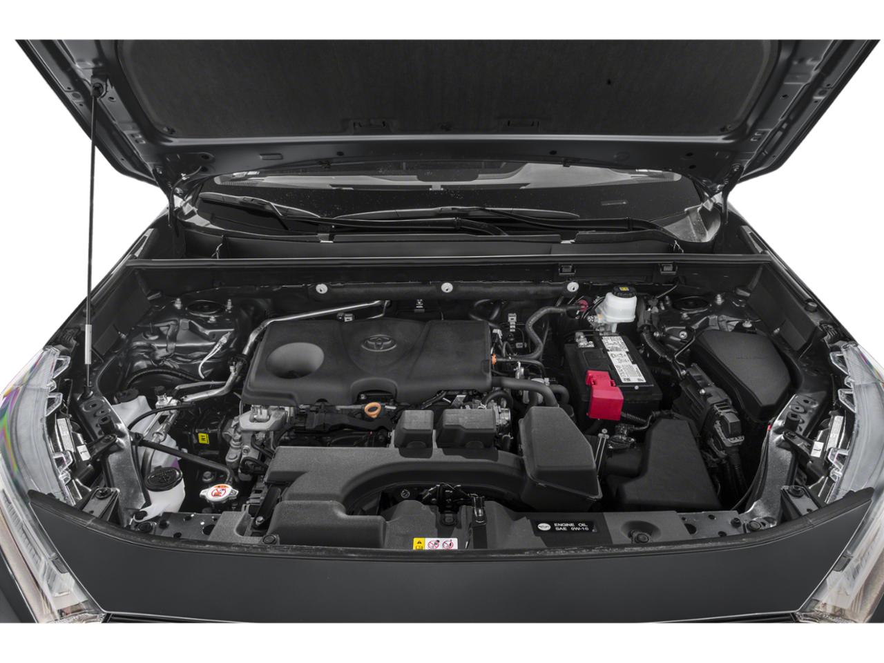 2023 Toyota RAV4 Vehicle Photo in San Antonio, TX 78209