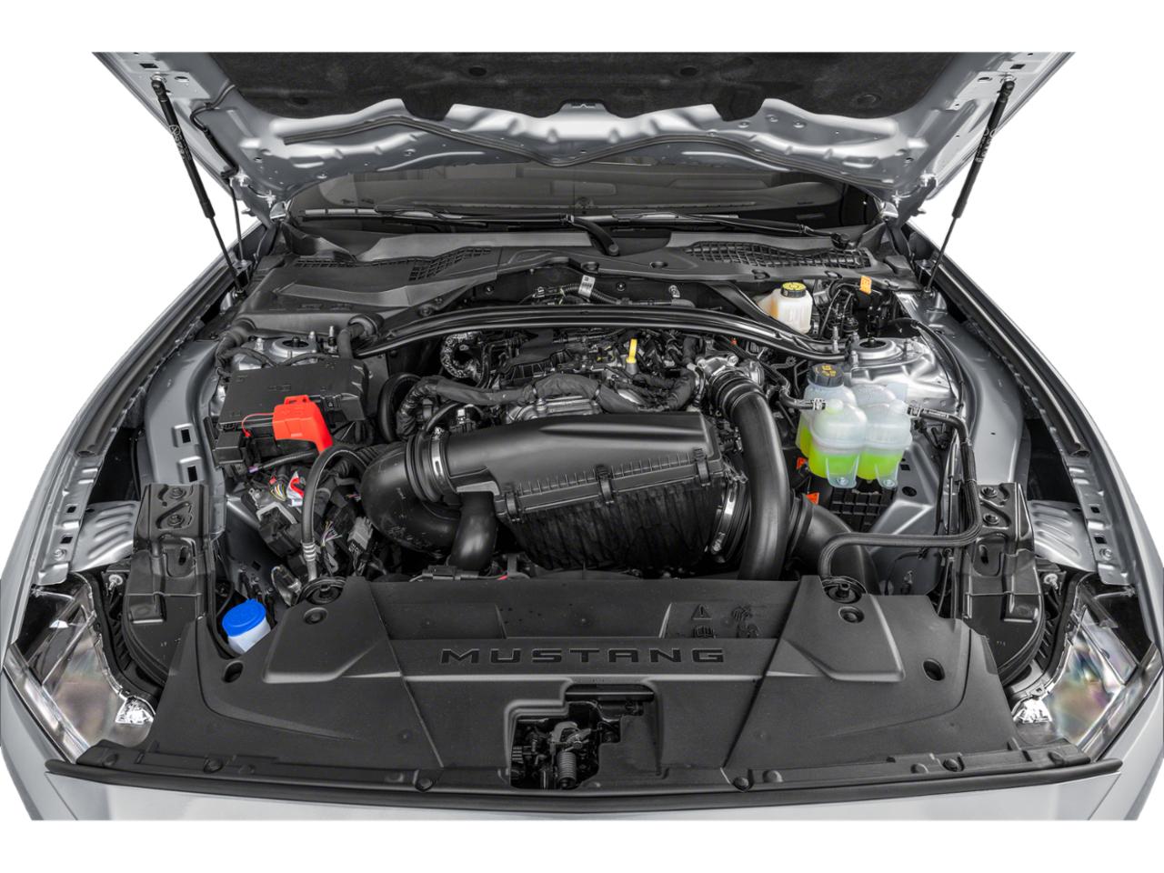 2024 Ford Mustang Vehicle Photo in Savannah, GA 31419