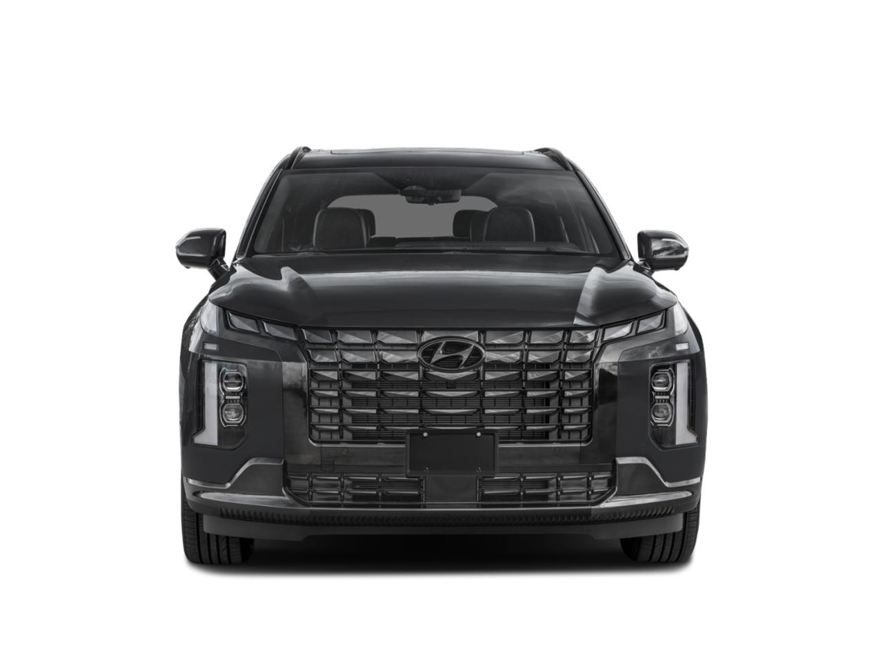 2024 Hyundai PALISADE Vehicle Photo in Bluffton, SC 29910