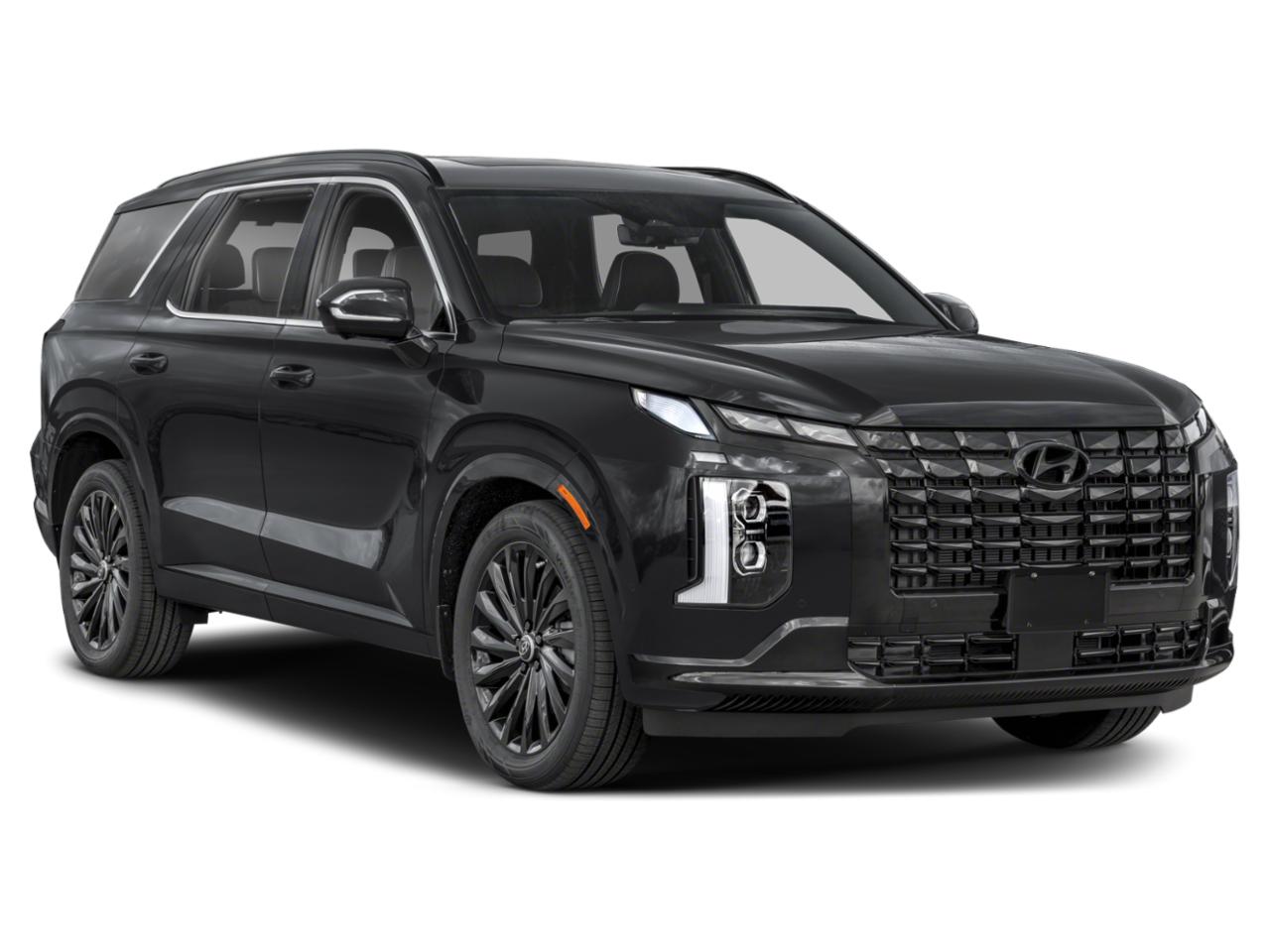 2024 Hyundai PALISADE Vehicle Photo in Bluffton, SC 29910