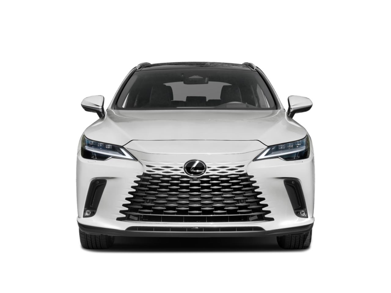 2024 Lexus RX 350 Vehicle Photo in Jonesboro, AR 72404