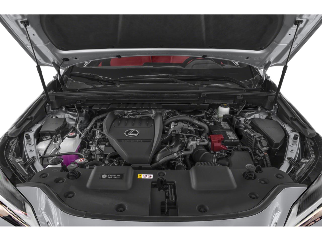 2024 Lexus NX 350 Vehicle Photo in Flemington, NJ 08822