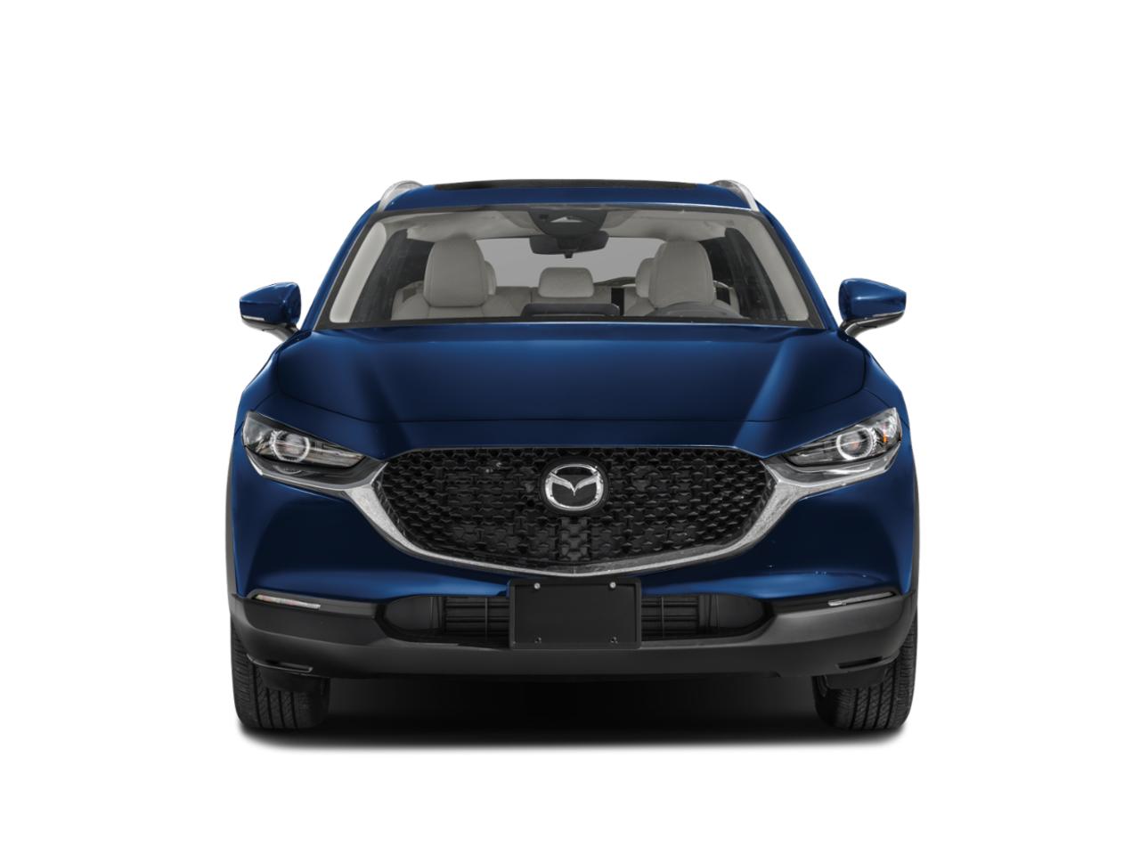 2024 Mazda CX-30 Vehicle Photo in Appleton, WI 54913